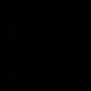 Meet your Posher, Venicia